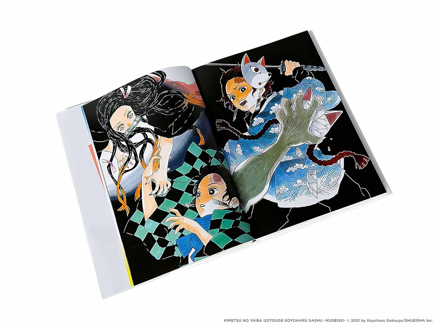 Art of Demon Slayer: Kimetsu no Yaiba