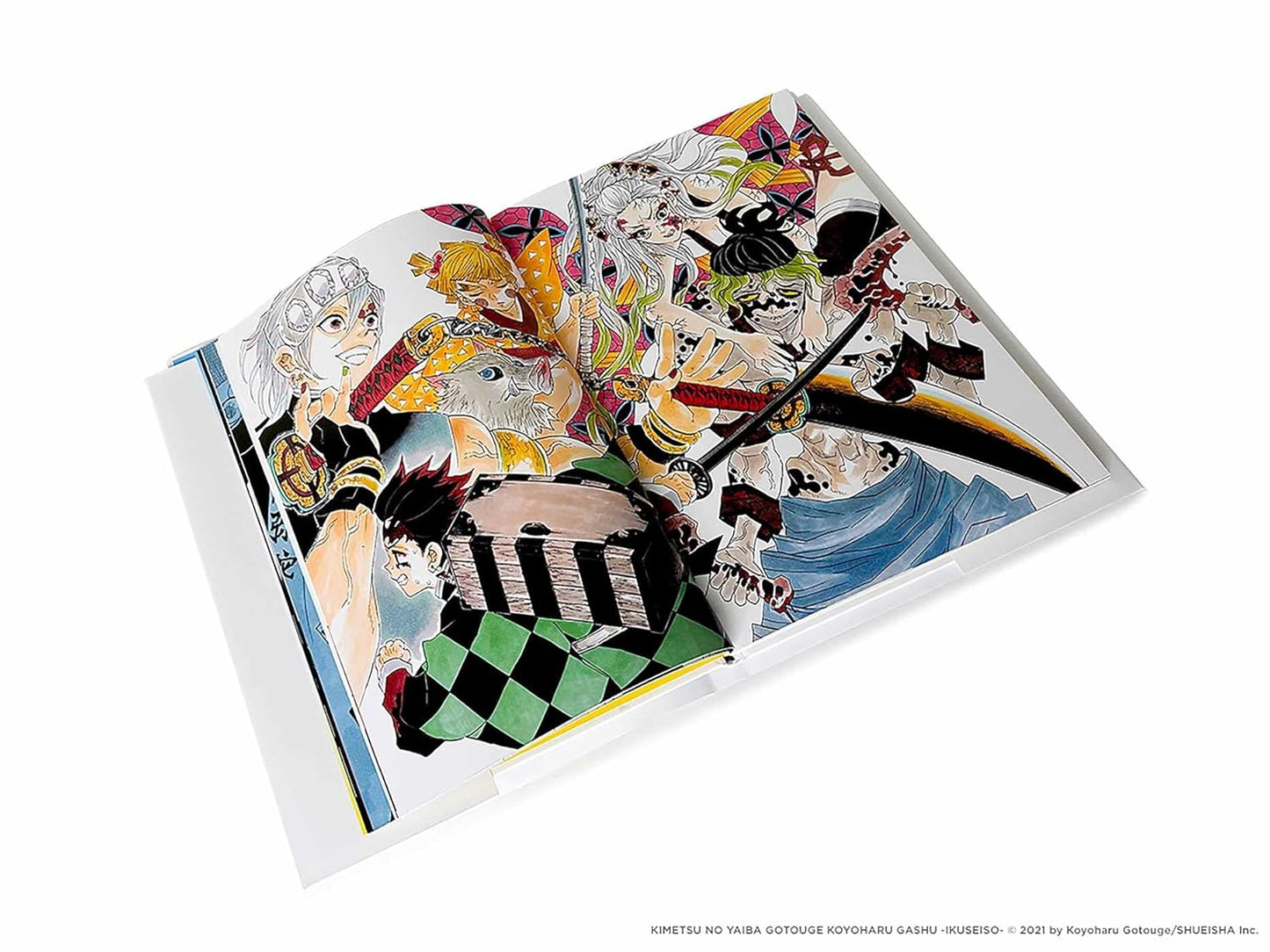 Art of Demon Slayer: Kimetsu no Yaiba