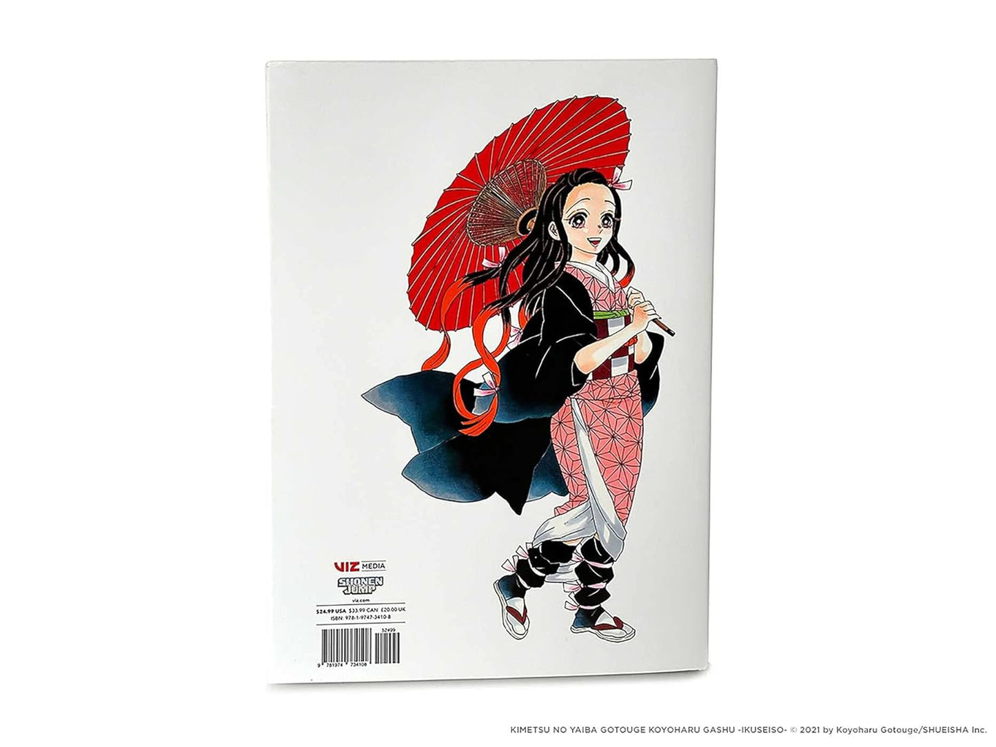 Art of Demon Slayer: Kimetsu no Yaiba