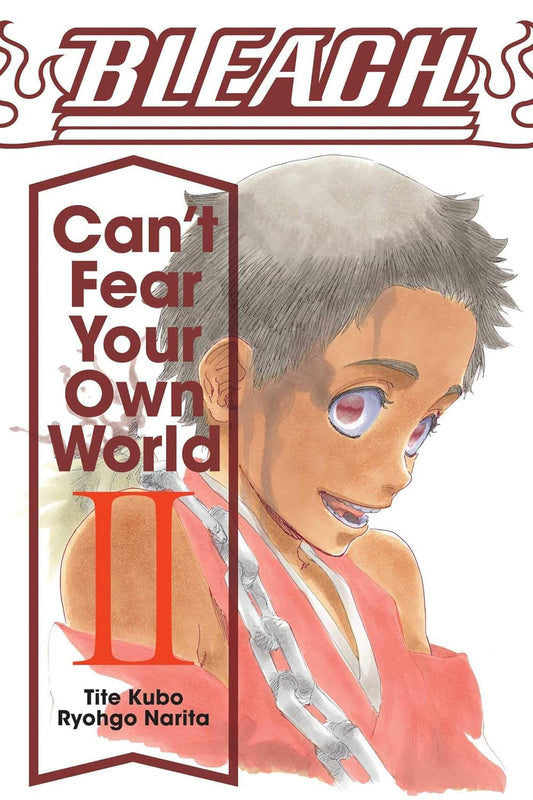 Bleach: Can't Fear Your Own World (Light Novel), Vol. 2