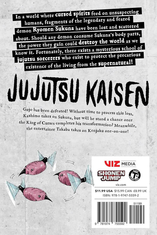 Jujutsu Kaisen, Vol. 27 VIZ Media LLC