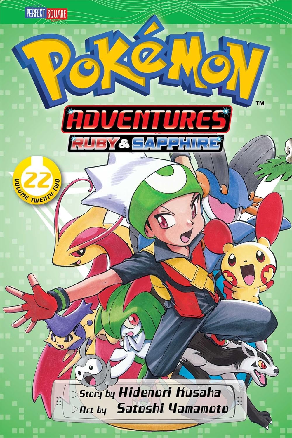 Pokemon Adventures: Ruby and Sapphire, Vol. 22