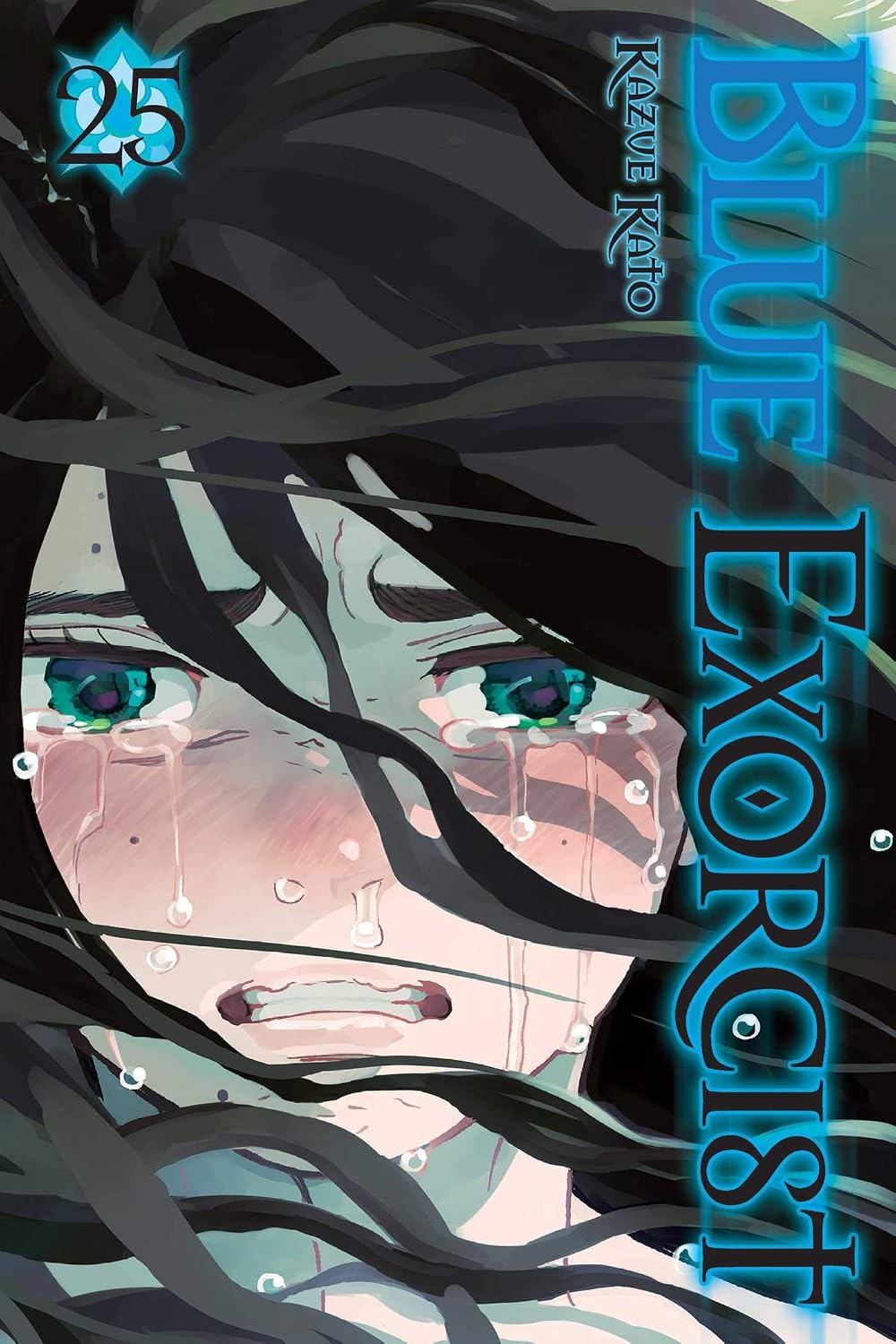 Blue Exorcist, Vol. 25 VIZ Media LLC