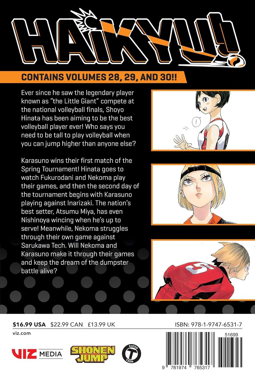 Haikyu!! (3-in-1 Edition), Vol. 10: Includes vols. 28, 29, & 30 VIZ Media LLC