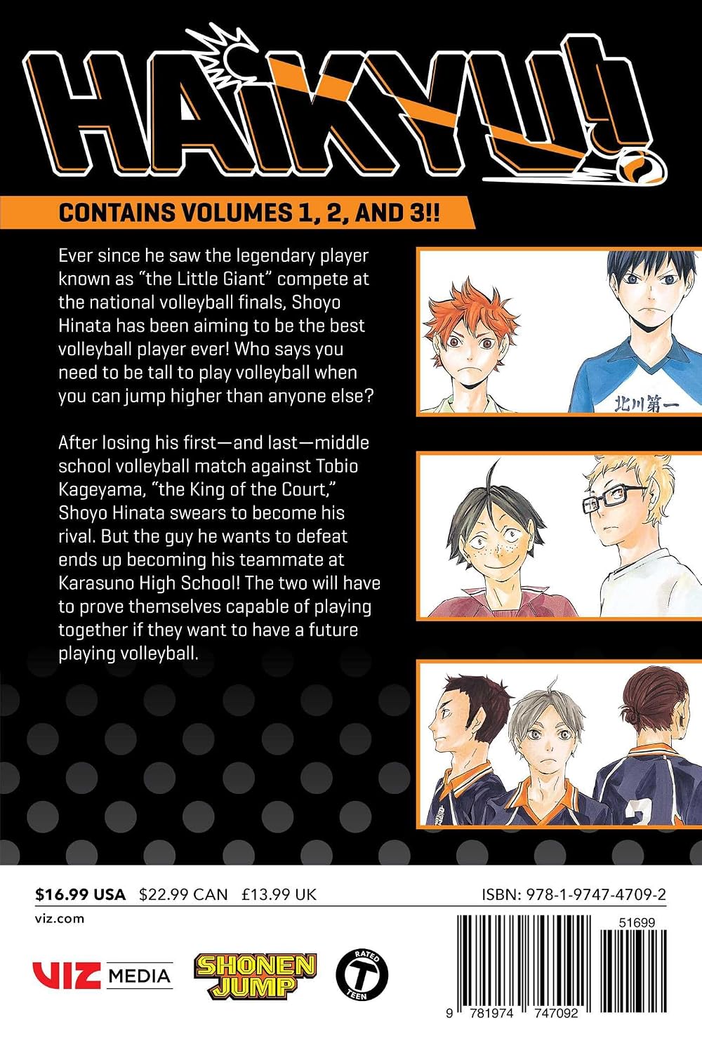 Haikyu!! (3-in-1 Edition), Vol. 01 (Vols. 1-3) VIZ Media LLC