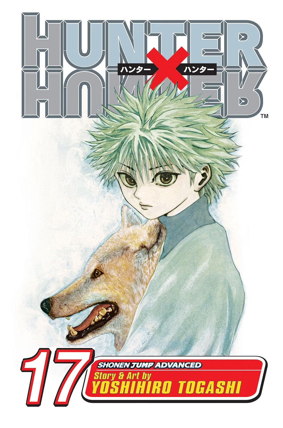Hunter x Hunter, Vol. 17: A Fierce Three-Way Struggle VIZ Media LLC