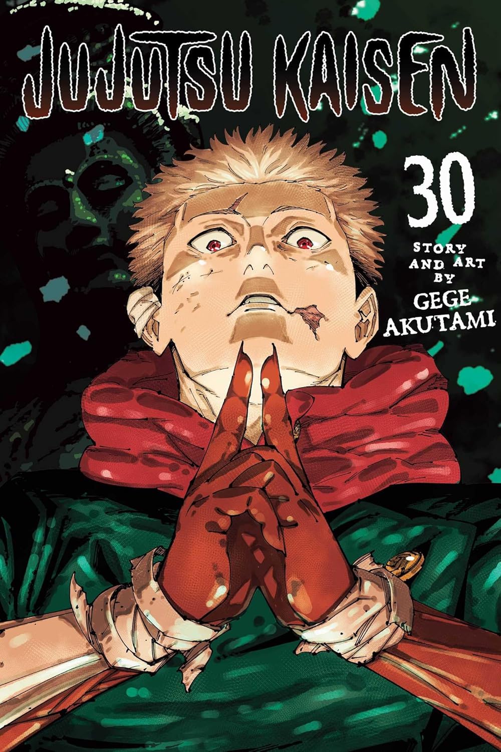 Jujutsu Kaisen, Vol. 30 VIZ Media LLC