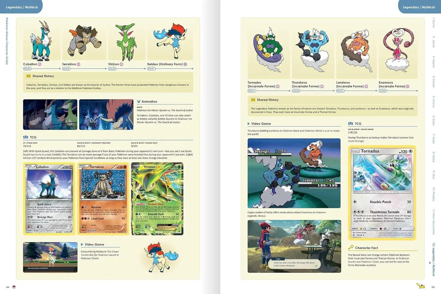 Pokémon Deluxe Character Guide (Pre-Order) Pikachu Press