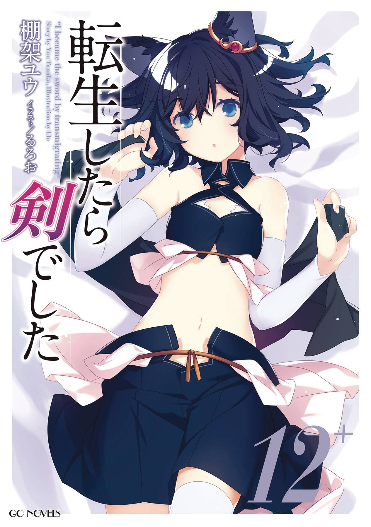 Reincarnated as a Sword Light Novel, Vol. 12