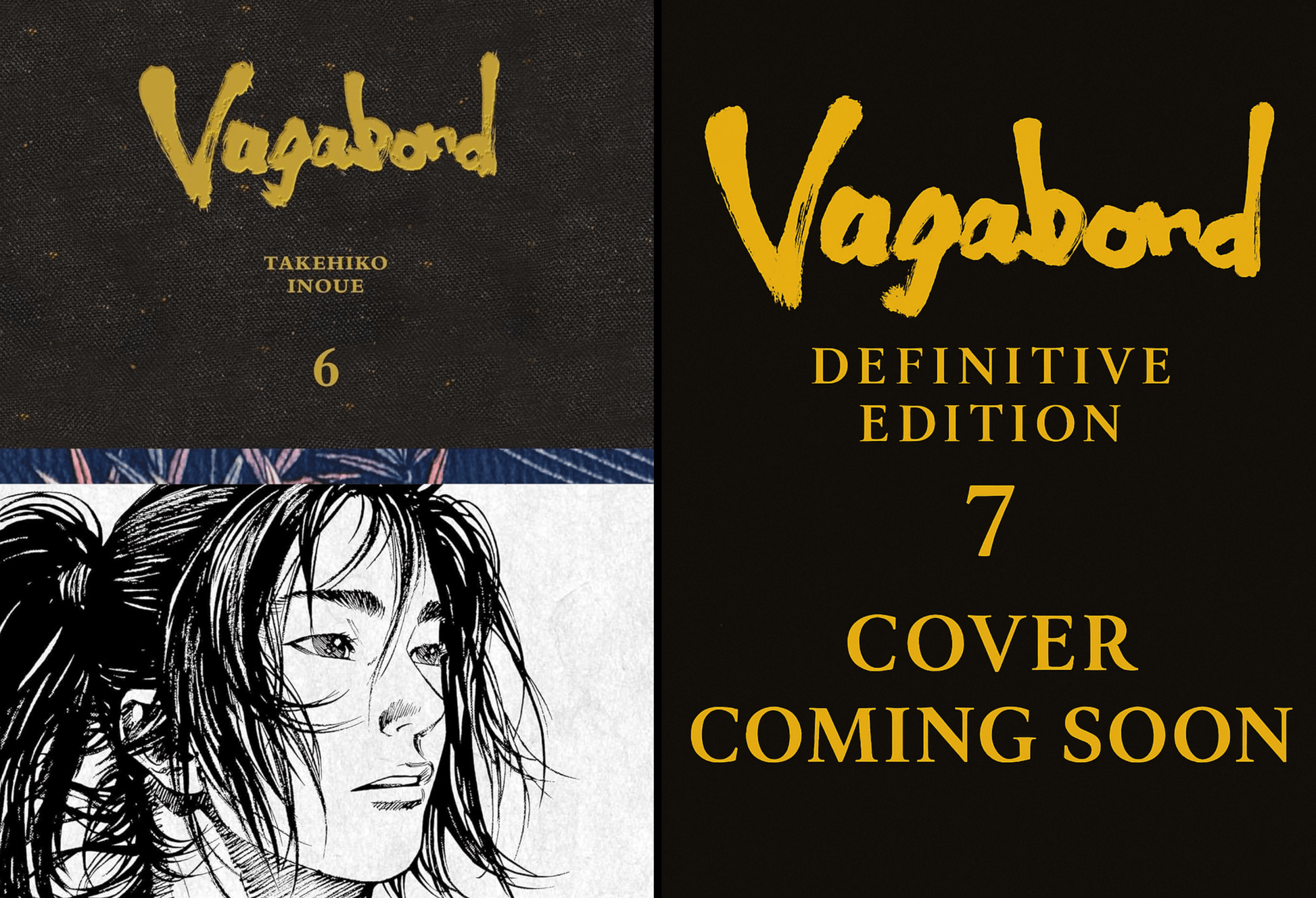 Vagabond Definitive Edition Pre-Order Bundle (Vols. 6-7) VIZ Media LLC