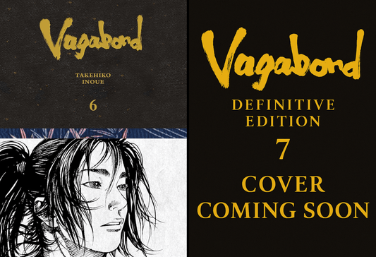 Vagabond Definitive Edition Pre-Order Bundle (Vols. 6-7) VIZ Media LLC